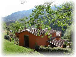 Farm Holidays - Col di Magia - gelsomino