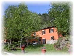 Farm Holidays - Col di Magia - glicine